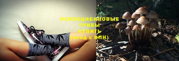 мет Алзамай