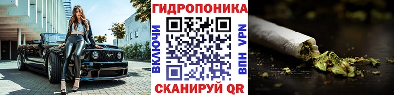 блэк спрут ONION  Заволжск  Марихуана VHQ 